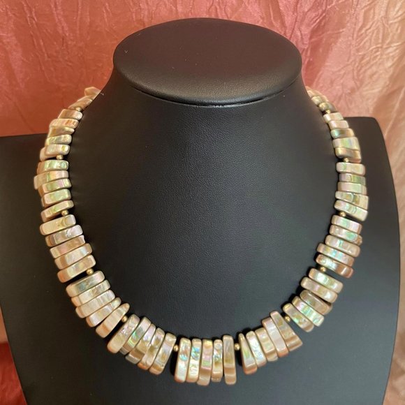 STUNNING ABALONE WITH CORAL ON EDGES AND BRASS BEADED NECKLACE ...RARE FIND... - Picture 1 of 3